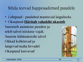 Happesademed esitlus #14