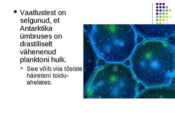 Osoon esitlus #23