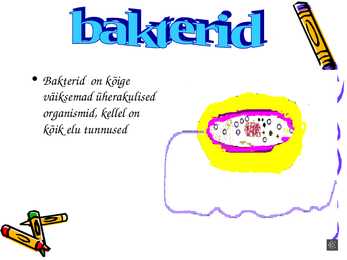 Bakterite ehitus-tähtsus #2