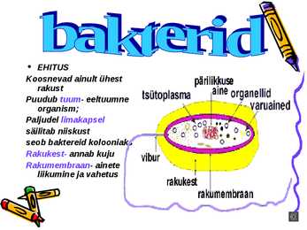 Bakterite ehitus-tähtsus #5