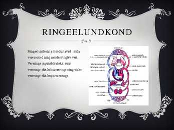 VERERINGE #2
