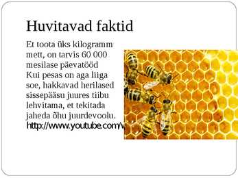 Ühiselulised putukad #12