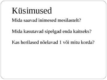 Ühiselulised putukad #13