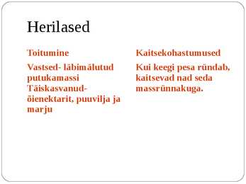 Ühiselulised putukad #6