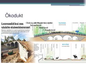 Ökoloogilise tasakaalu muutused ja tagajärjed #8