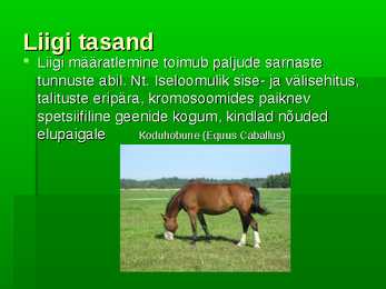 Bioloogia uurib elu #11
