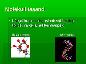 Bioloogia uurib elu #4