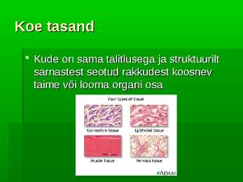 Bioloogia uurib elu #6