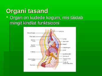 Bioloogia uurib elu #7