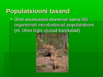 Bioloogia uurib elu #10