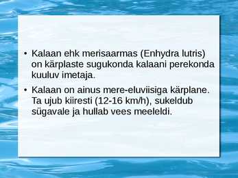 Kalaan #2