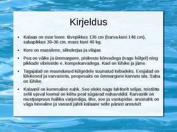 Kalaan #4