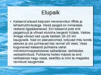 Kalaan #7