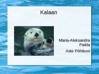 Kalaan