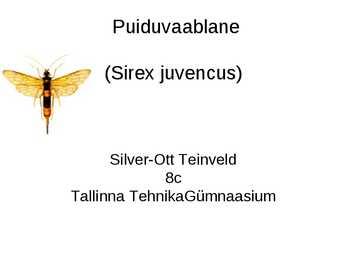 Puiduvaablane