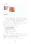LIHTHERPES JA GENITAALHERPES #3
