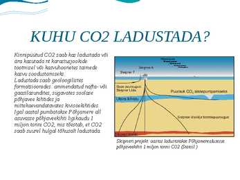 Esitlus-CO2 HEIDETE VÄHENDAMISE VÕIMALUSED #4