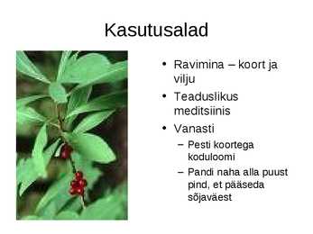 Näsiniin #7