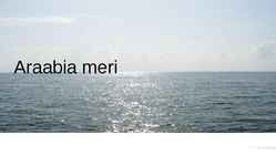 Araabia meri