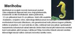 Mereloomad #2
