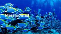 Mereloomad