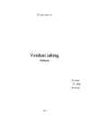 Verduni Lahing referaat