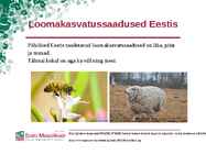 Loomakasvatussaaduste kogutoodang Eestis #3