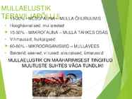Teravili monokultuurina tavaviljeluses #11