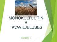 Teravili monokultuurina tavaviljeluses