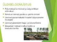 Palumets #2