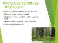 Palumets #7