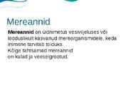 MEREANNID #2