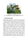 Hermani luulemapp sisukorrsga #4