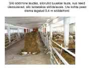 Lammaste pidamistehnoloogia #11