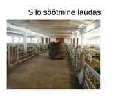 Lammaste pidamistehnoloogia #12