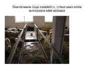 Lammaste pidamistehnoloogia #13