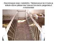 Lammaste pidamistehnoloogia #14