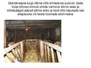 Lammaste pidamistehnoloogia #15