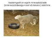 Lammaste pidamistehnoloogia #17