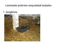 Lammaste pidamistehnoloogia #19