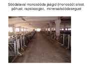 Lammaste pidamistehnoloogia #22