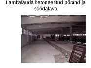 Lammaste pidamistehnoloogia #26