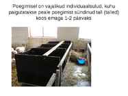 Lammaste pidamistehnoloogia #28