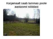 Lammaste pidamistehnoloogia #32