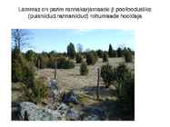 Lammaste pidamistehnoloogia #33