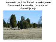 Lammaste pidamistehnoloogia #36