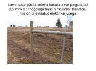 Lammaste pidamistehnoloogia #37
