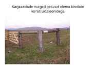 Lammaste pidamistehnoloogia #38
