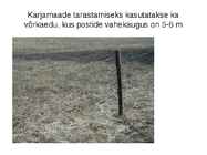 Lammaste pidamistehnoloogia #39