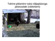 Lammaste pidamistehnoloogia #5
